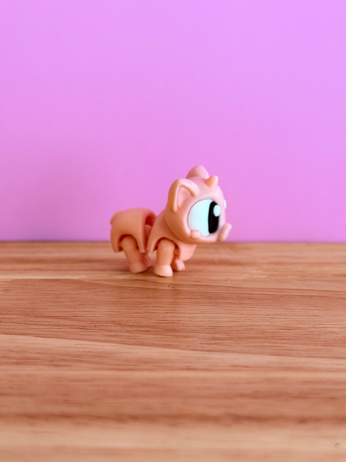 Mini Pig