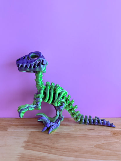 Skeleton raptor