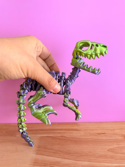 Skeleton raptor