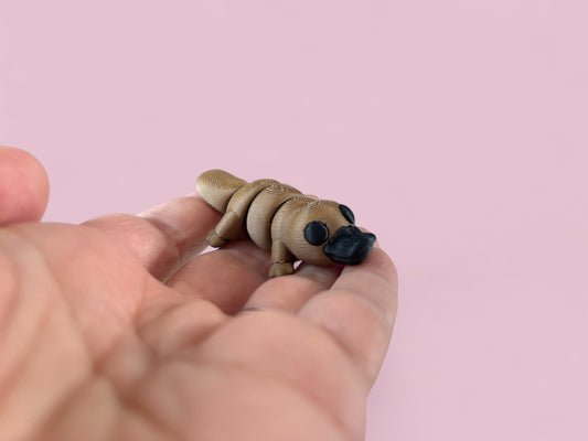 Tiny Platypus