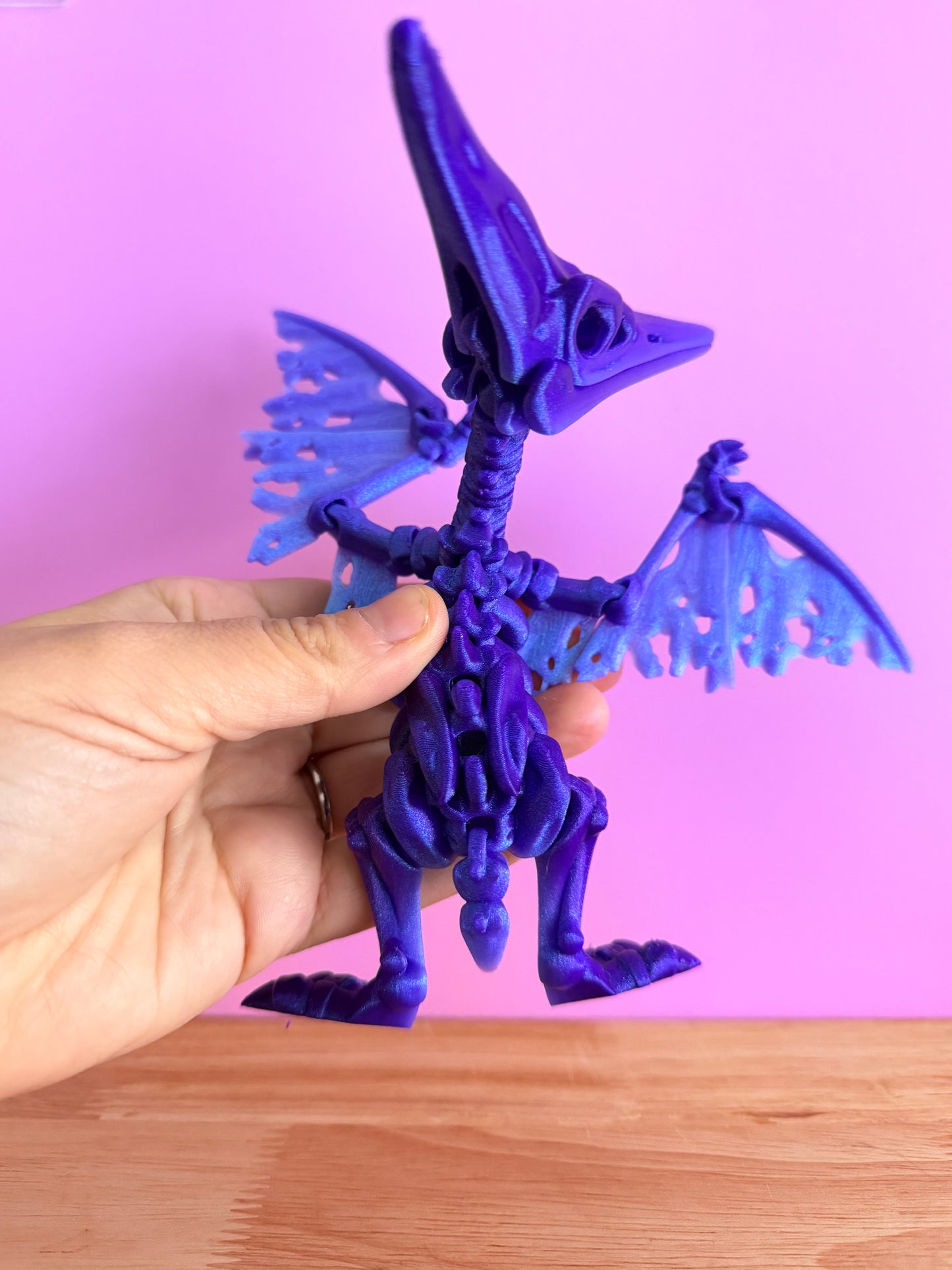 pterodactyl Skeleton