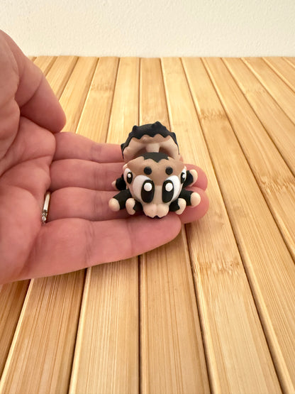 Mini spider and home