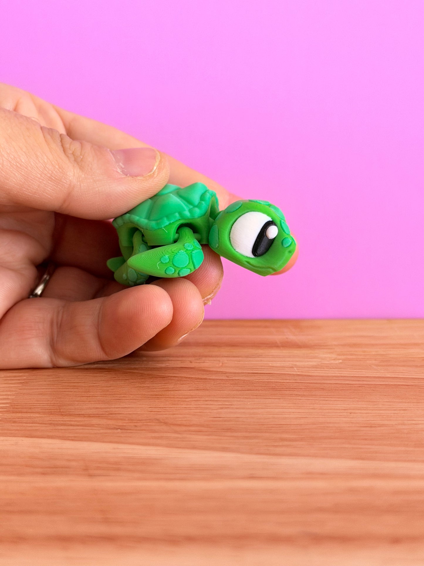 Mini sea turtle