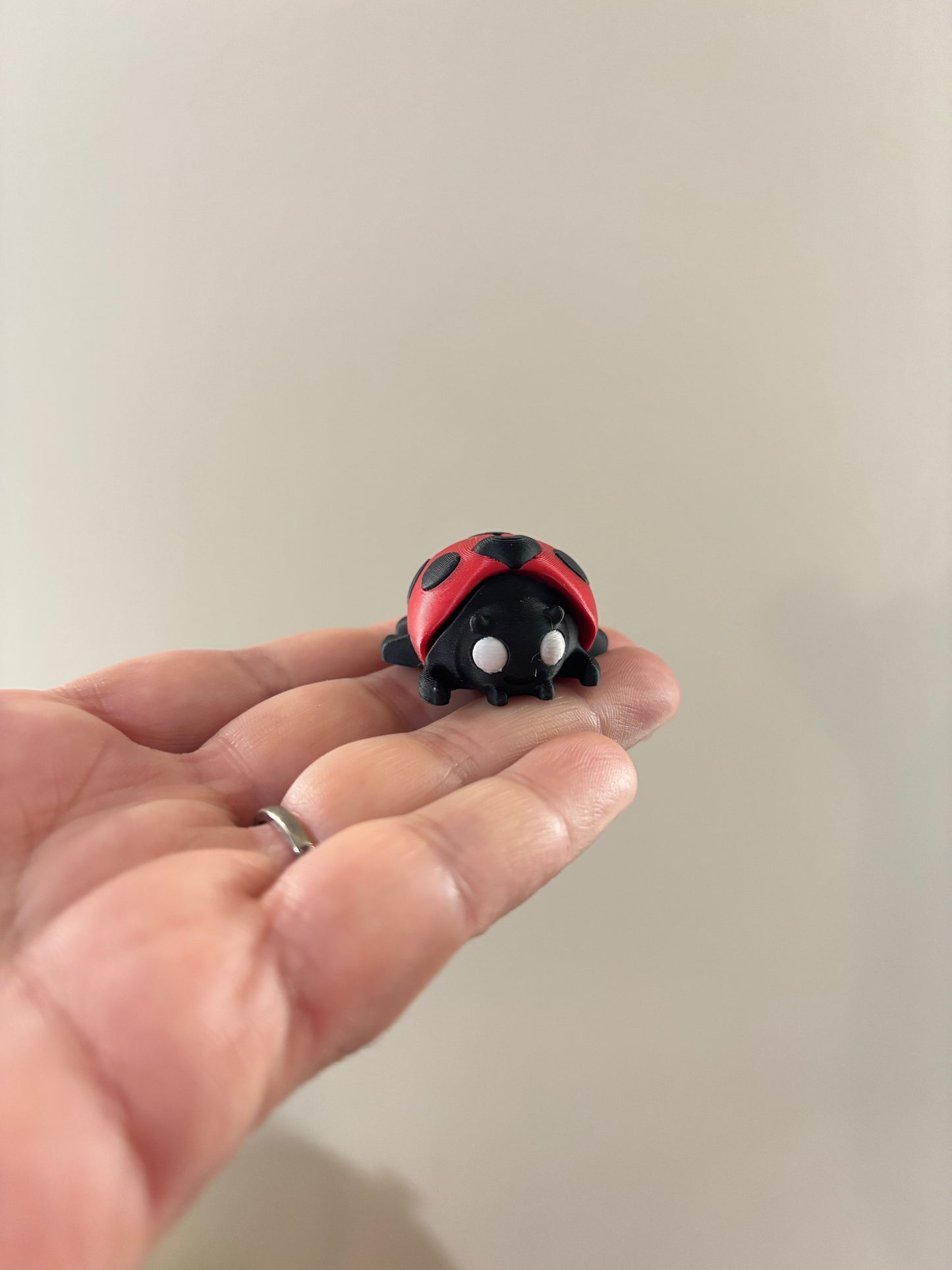 Mini ladybug