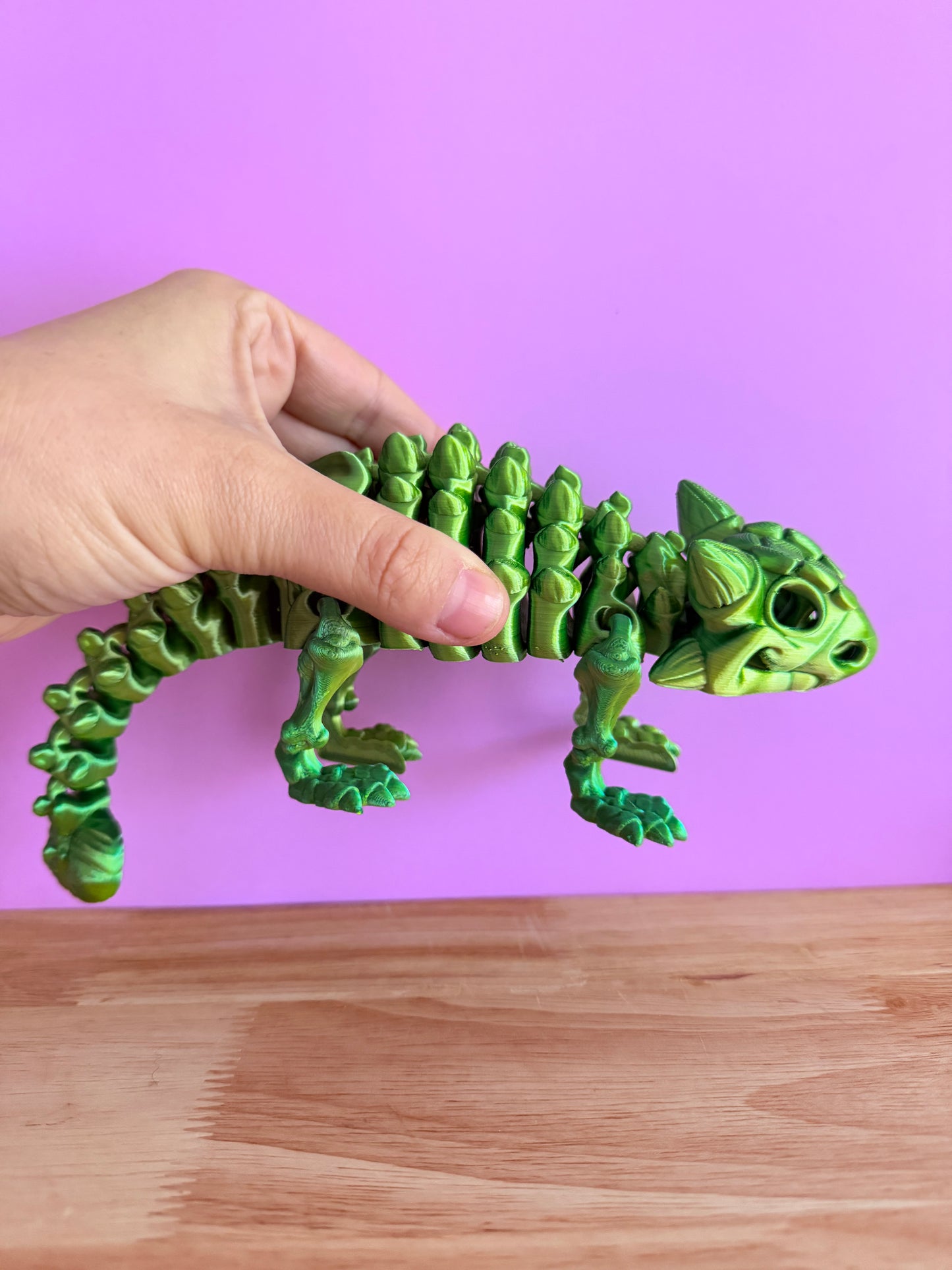Skeleton Ankylosaurus