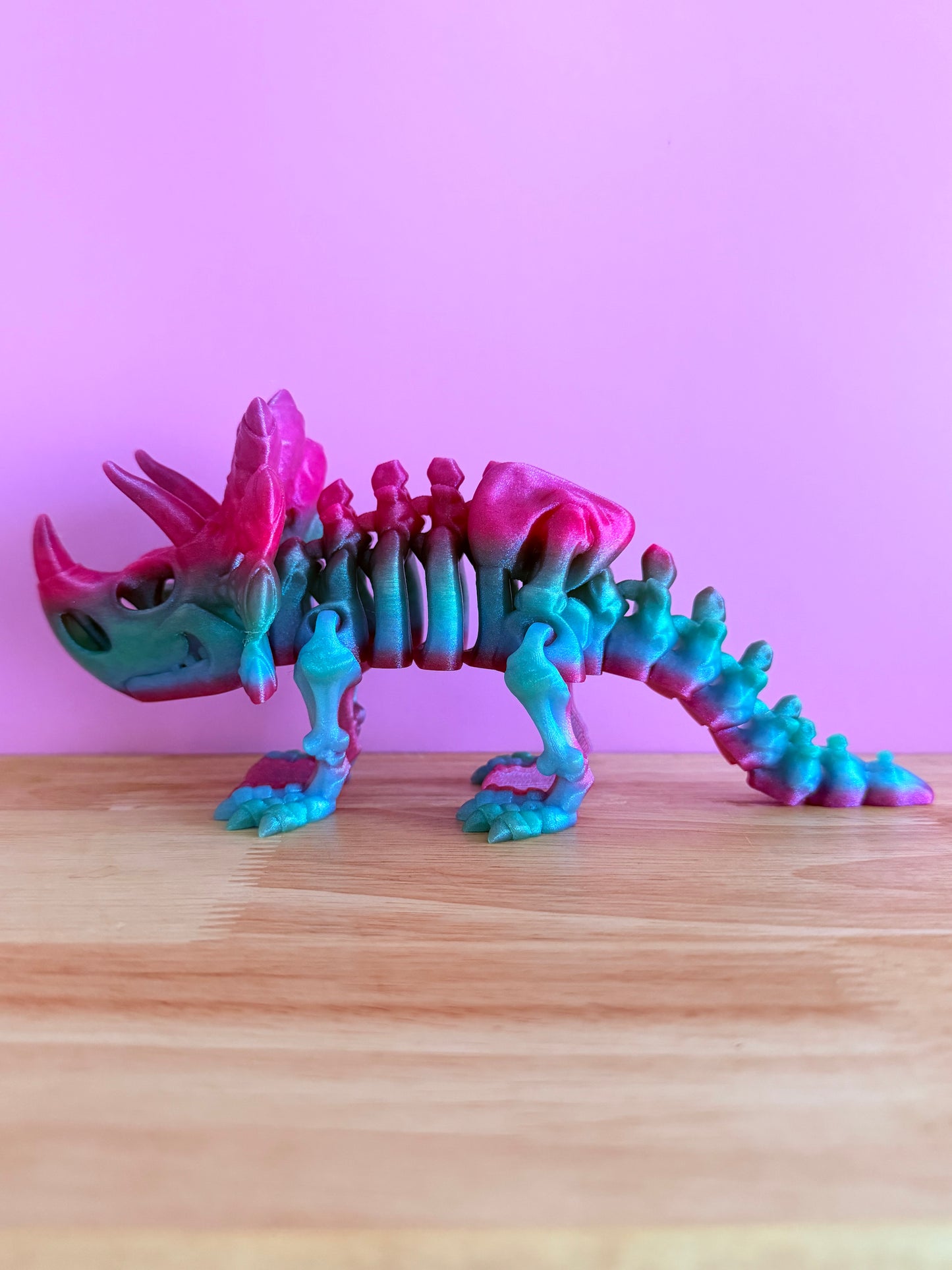 Skeleton triceratops