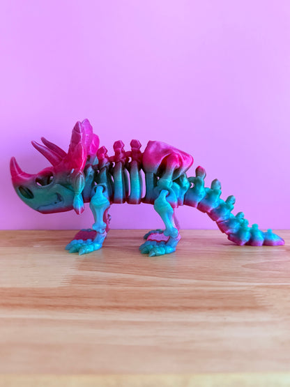 Skeleton triceratops