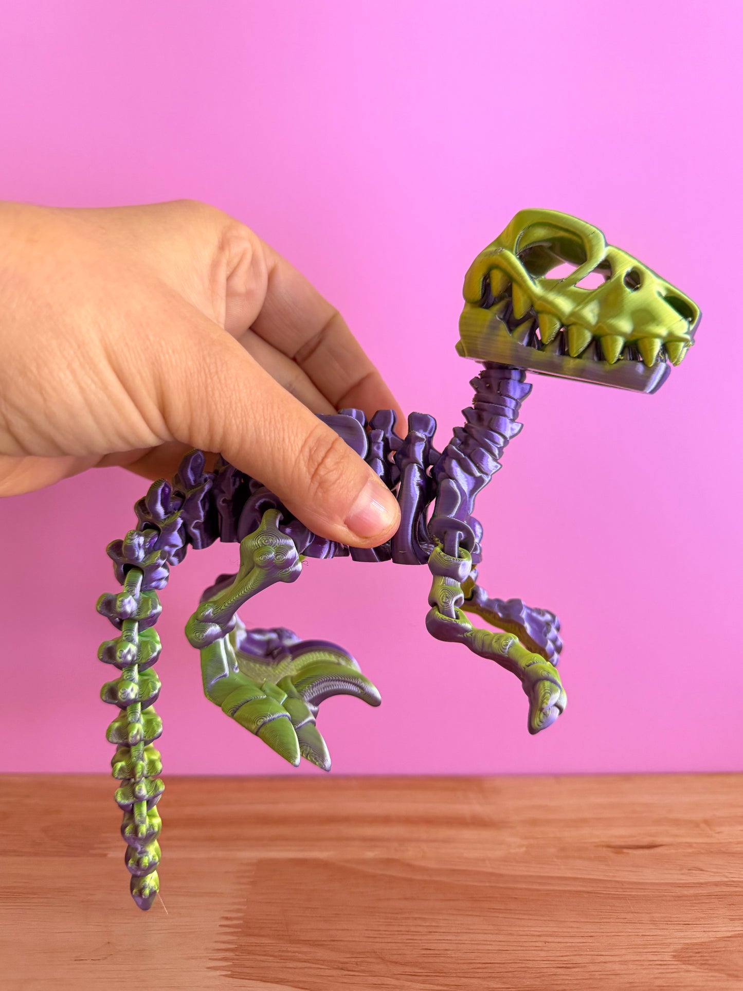 Skeleton raptor