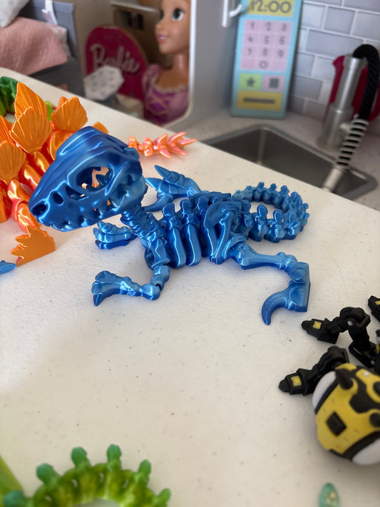 Raptor skeleton