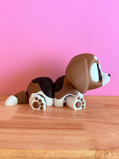 XL pet dog