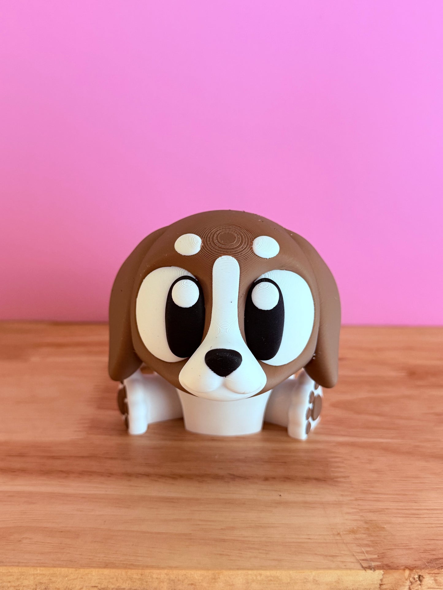 XL pet dog