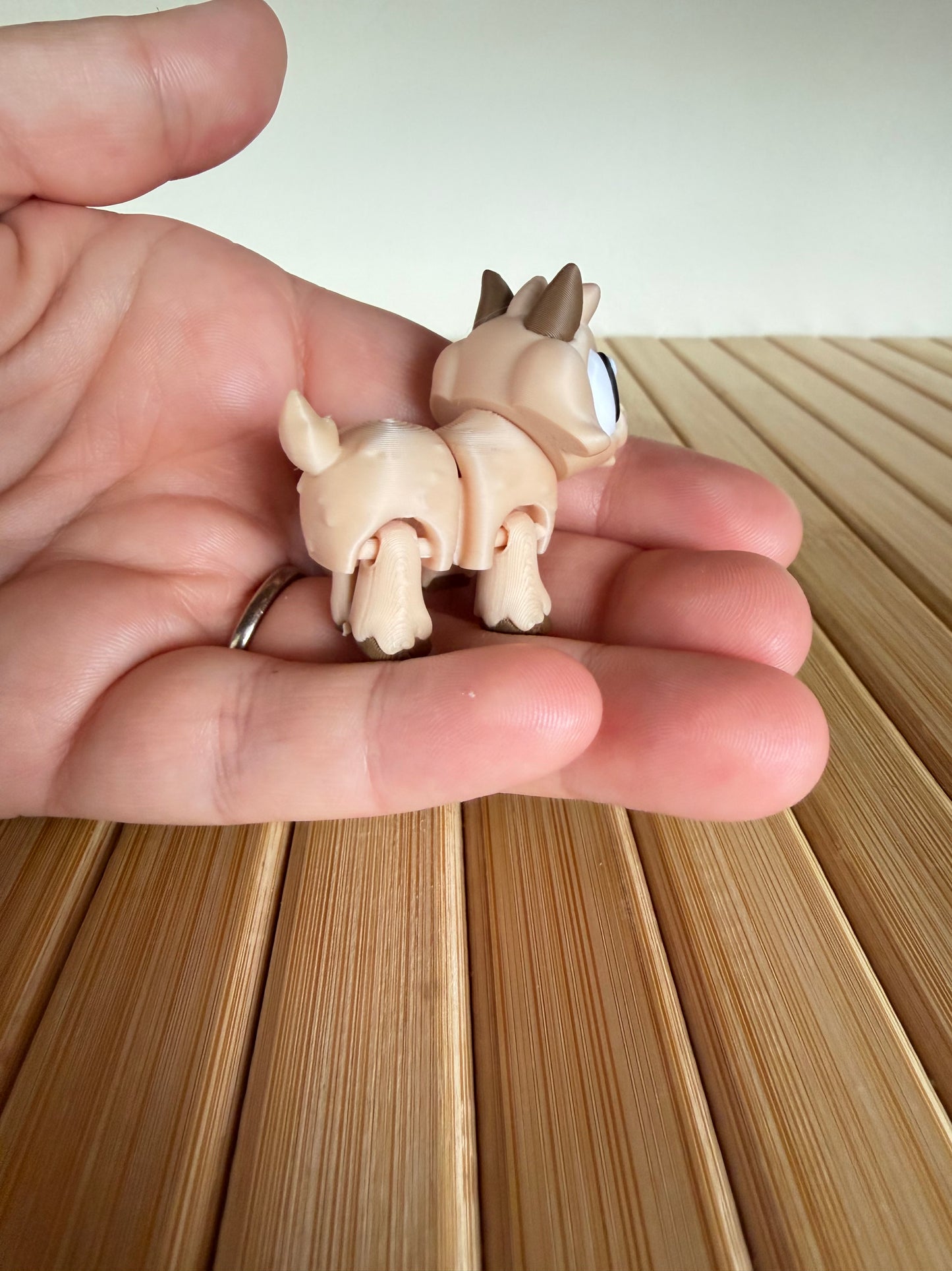 Mini goat