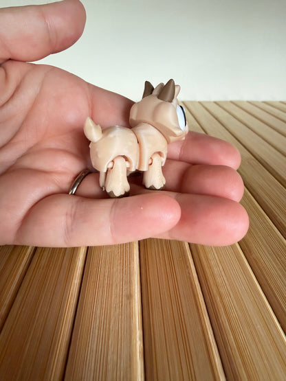 Mini goat