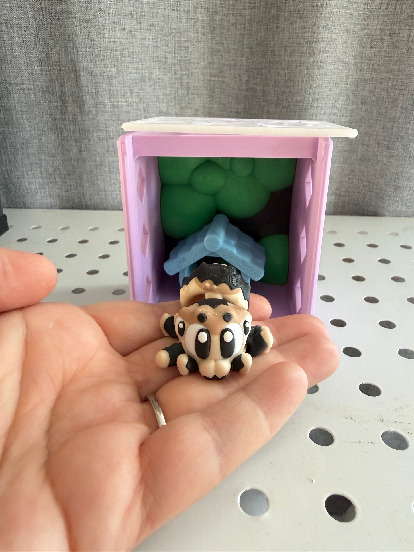 Mini spider and home