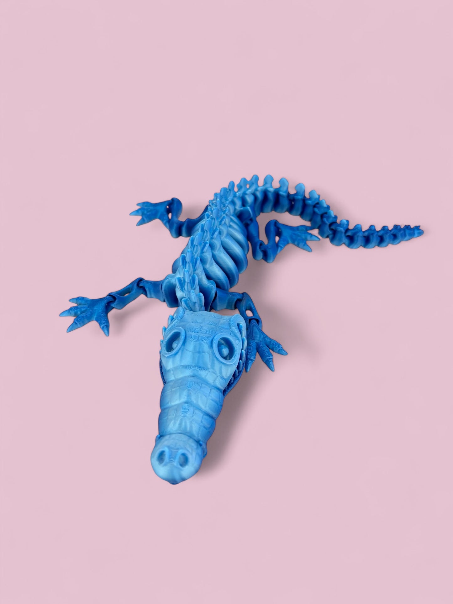 Crocodile Skeleton
