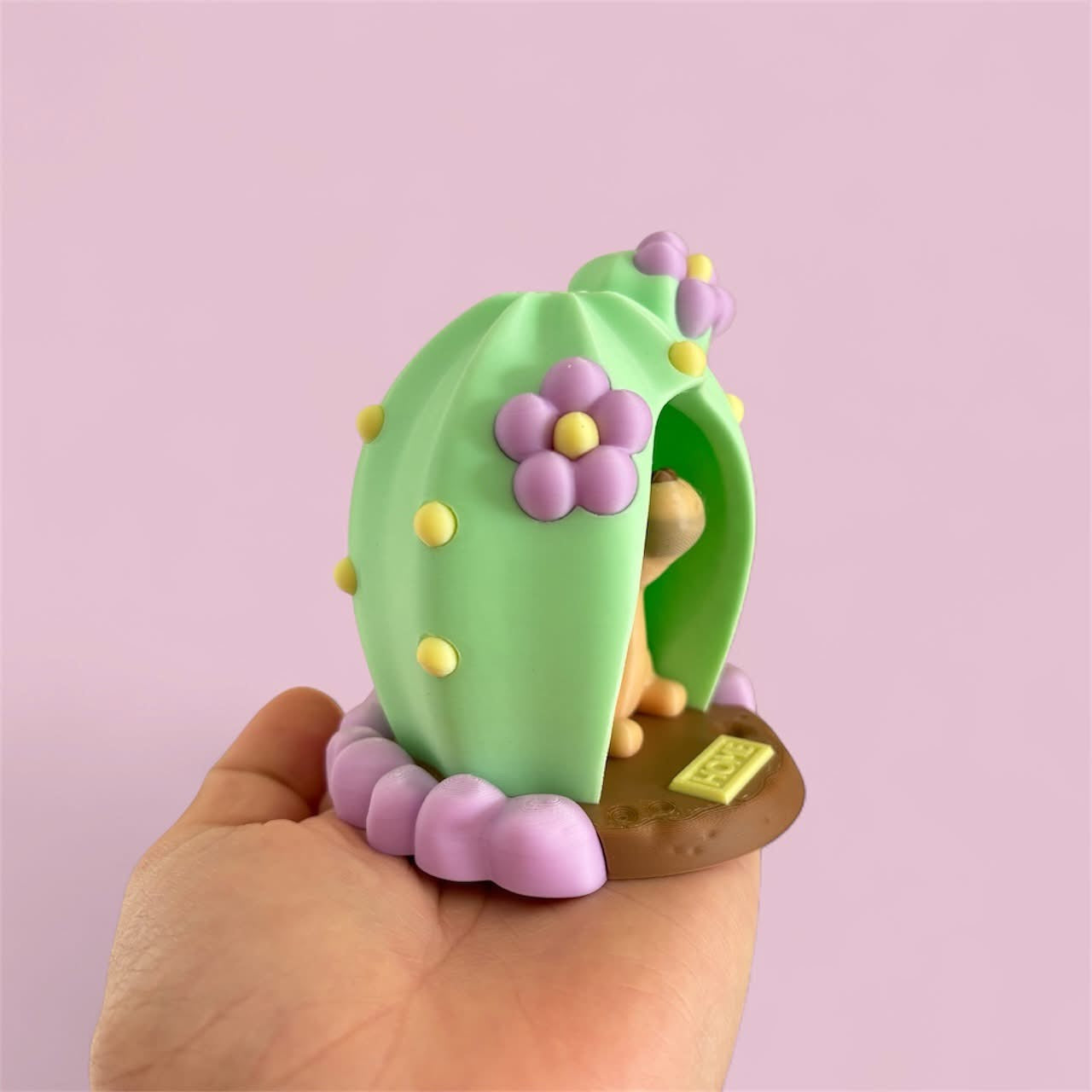 camel and cactus home