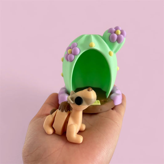 camel and cactus home