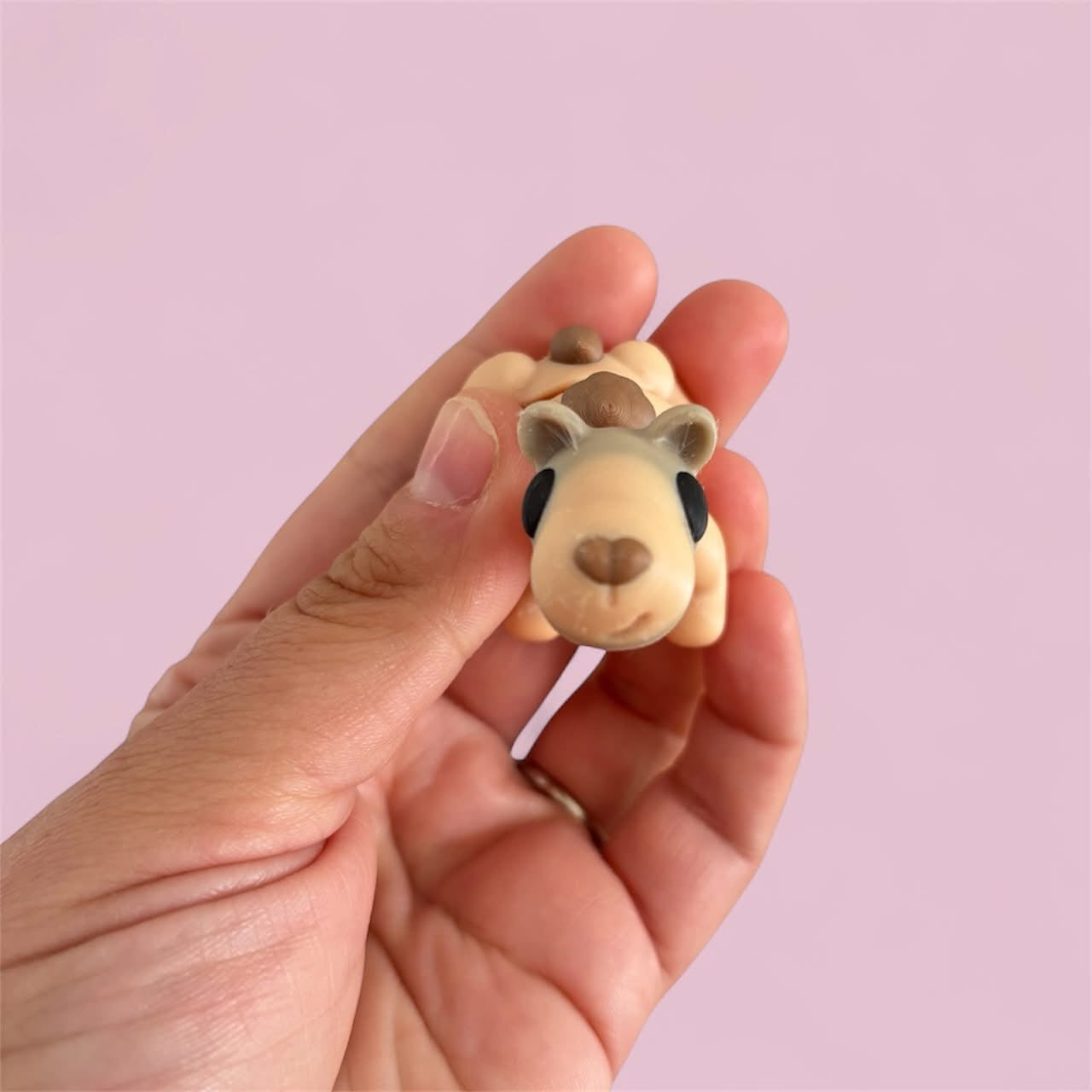 camel and cactus home